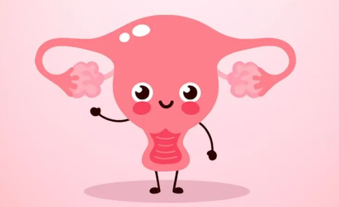 人体最精密的生物计时器——从青春期到更年期，每秒都在发送生育力信号⏰！