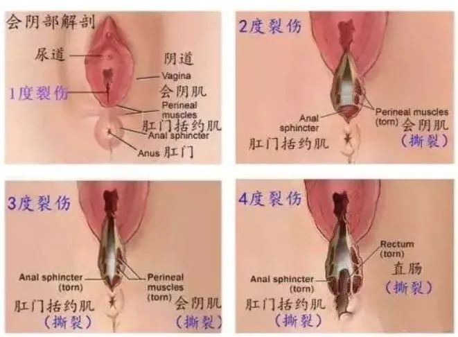 640 (1).png 640 (1).png